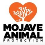 Mojave Animal Protection